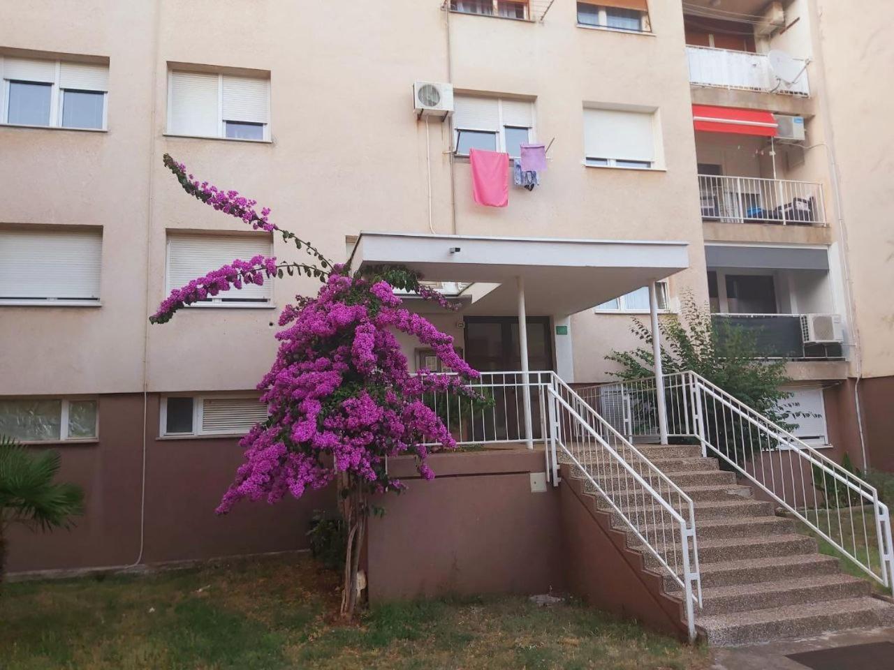 Popovic Apartment Pula Exterior photo